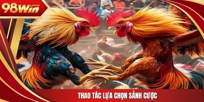 98win đá gà trực tiếp Thao tác lựa chọn sảnh cược