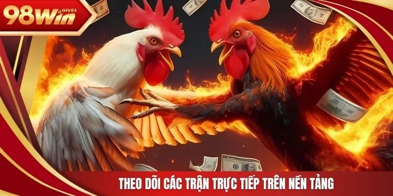 98win đá gà trực tiếp Theo dõi các trận trực tiếp trên nền tảng