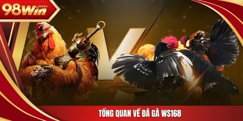 98win WS168 Tổng quan về đá gà WS168